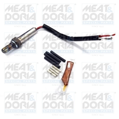 Oxygen Sensor